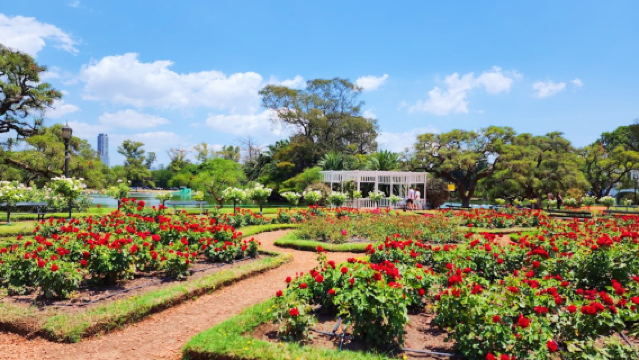 Palermo rose garden