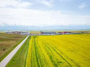 昭蘇天馬文化園