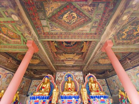 凈土寺