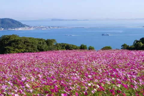 Nokonoshima Island