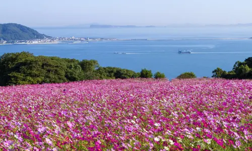 Nokonoshima Island