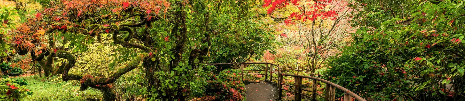 Attrazioni per la visione autunnale