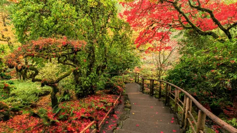 The Butchart Gardens attraction in Canada