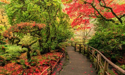 The Butchart Gardens
