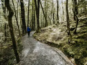 Routeburn Track