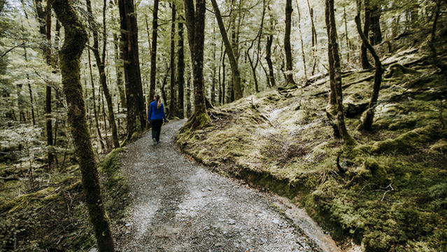 Routeburn Track