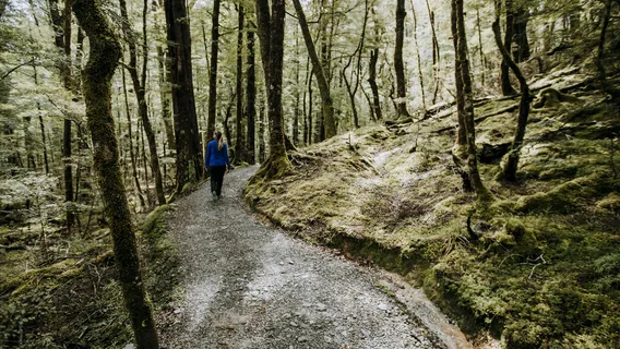Routeburn Track