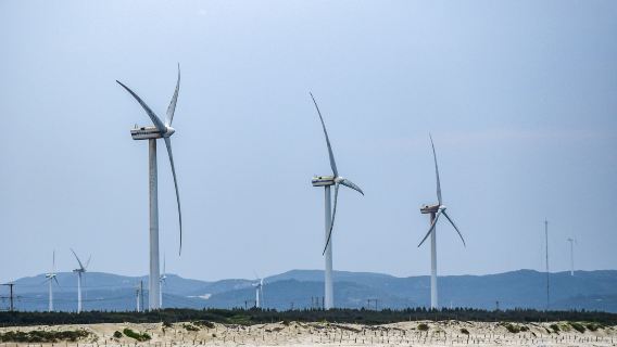 Changjiang'ao Wind Power Farm Scenic Area