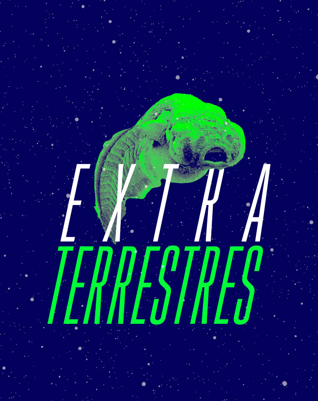 Exhibition 'Extraterrestrials. Is there life outside of Earth?' | CosmoCaixa Museum of Science