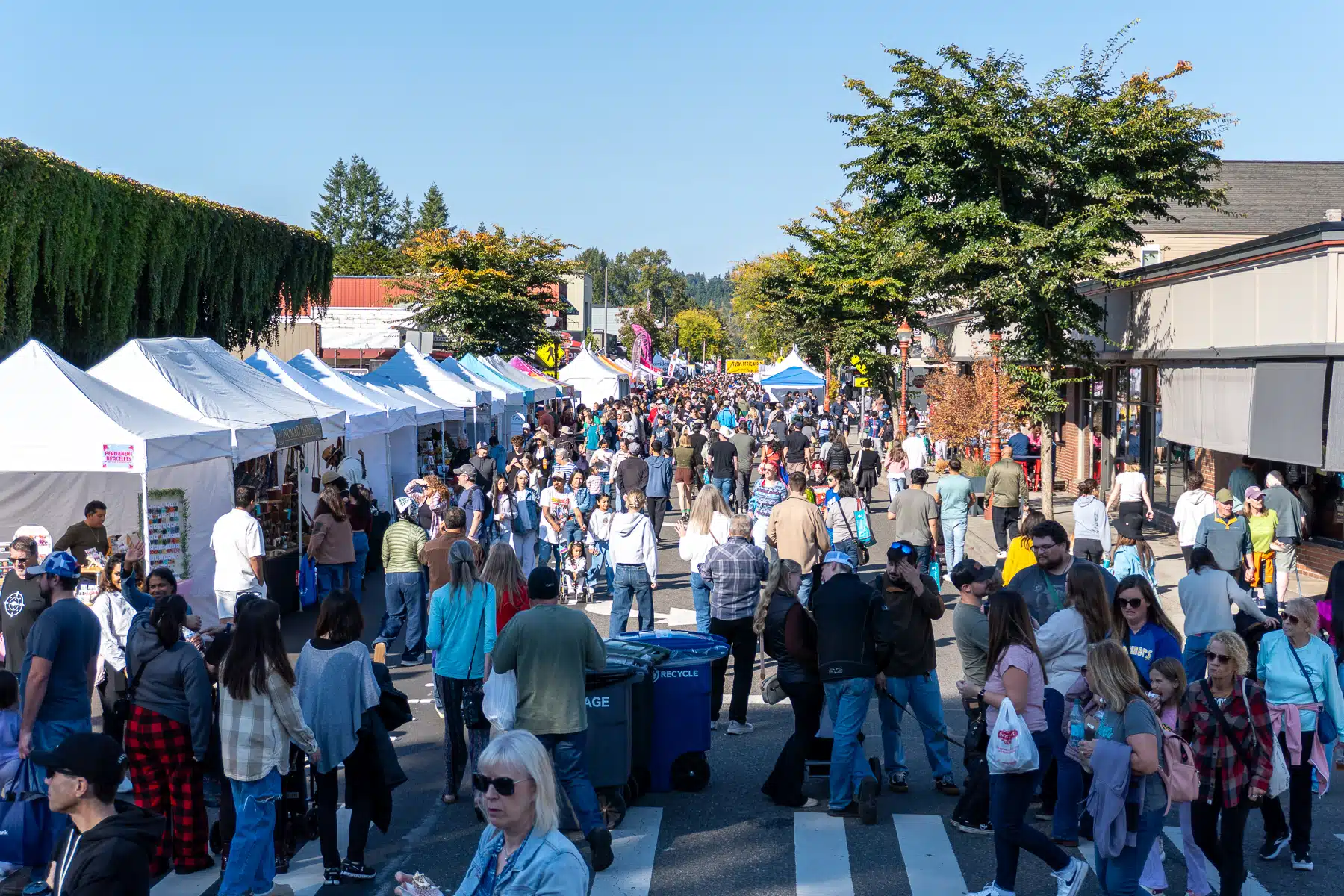 Salmon Days Festival | Issaquah