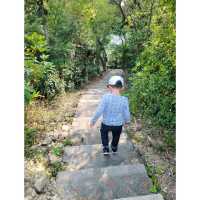 隱世郊野公園～