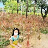 《親子好去處》超大好玩公園