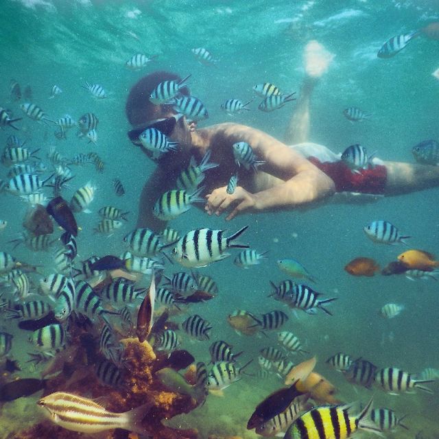 Pari Island - Crystal Clear Beach!  Pari Island - Crystal Clear Beach!
