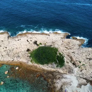 Green Egg Island