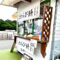 駒ヶ岳サービスエリア