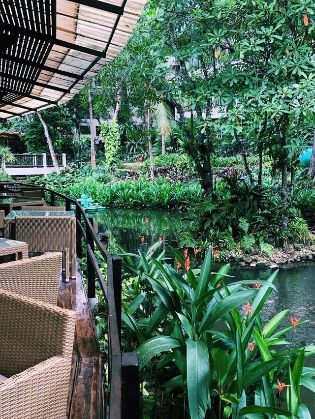 Jungle tropical getaway 
