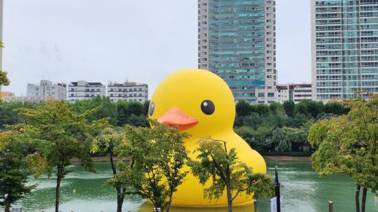 서울의 오아시스!!!제가 최애하는 장소에요~산책하고 쇼