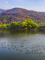 Sucheng Chuanshan Mountain Feipu Scenic Area