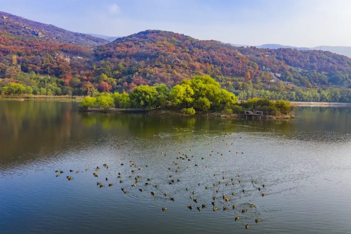수청/숙성 관광단지 주변 호텔