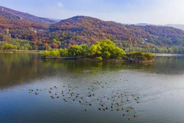Отели с услугой парковкой в г. Ляньюньган