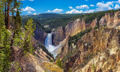 Brink of Lower Falls