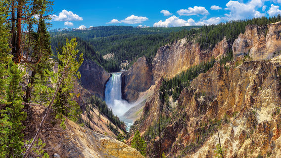 Brink of Lower Falls