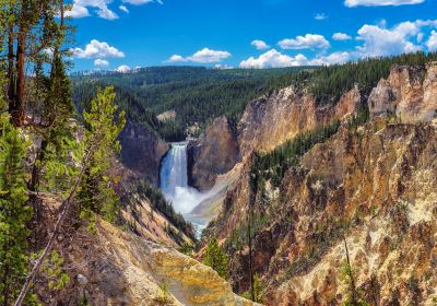 Brink of Lower Falls