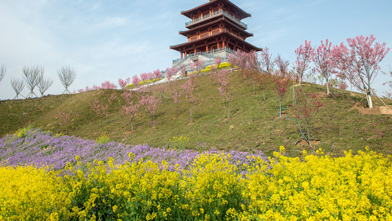 Fengle Sakura Garden