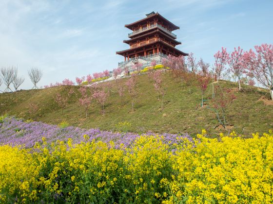 Fengle Sakura Garden