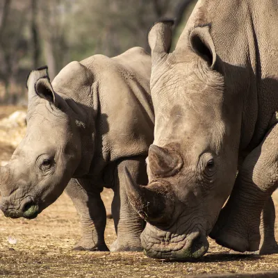 Номер с видом на горы Отели в г. Пуэр