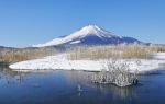 Mount Yōtei