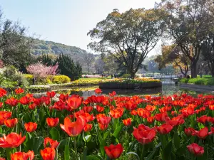 Mei Garden