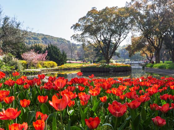 万博記念公園