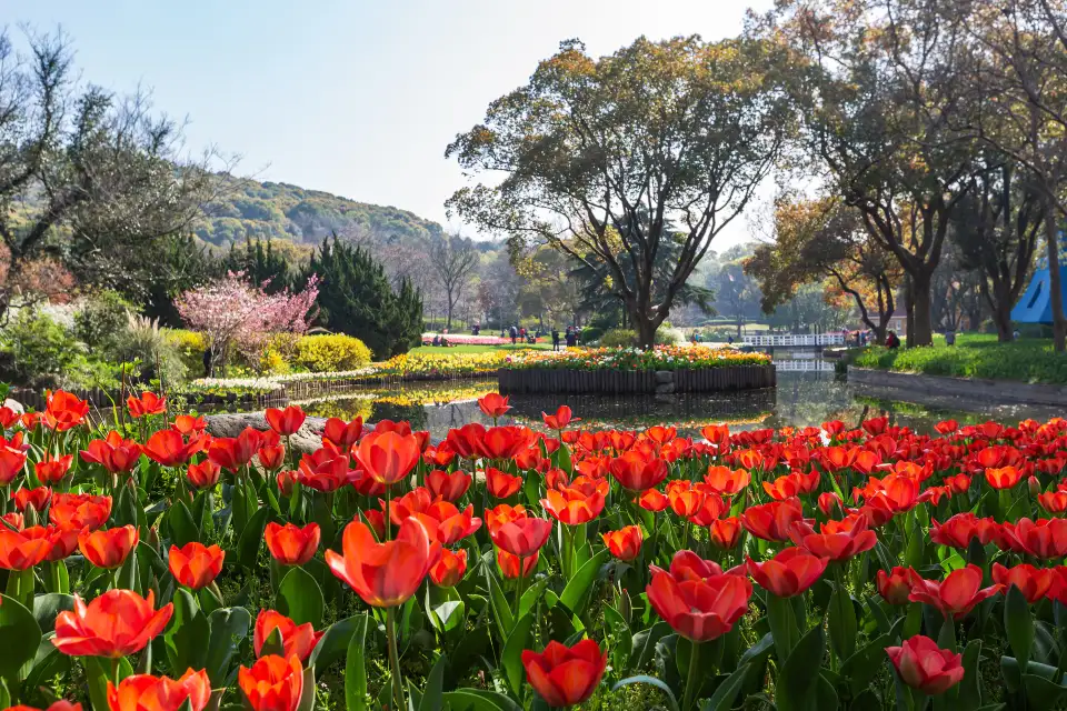 4_Plum Garden