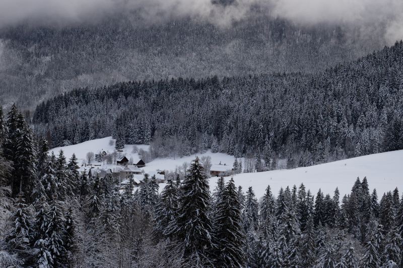 Cypress Mountain