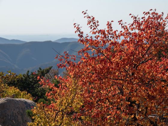 Sifang Mountain Sceneic Area