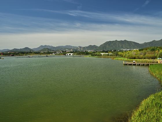龍泉湖湿地