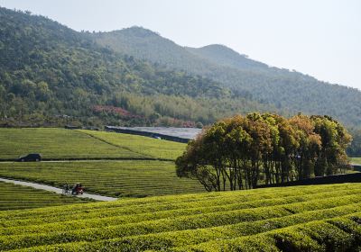 龍池山腳踏車公園