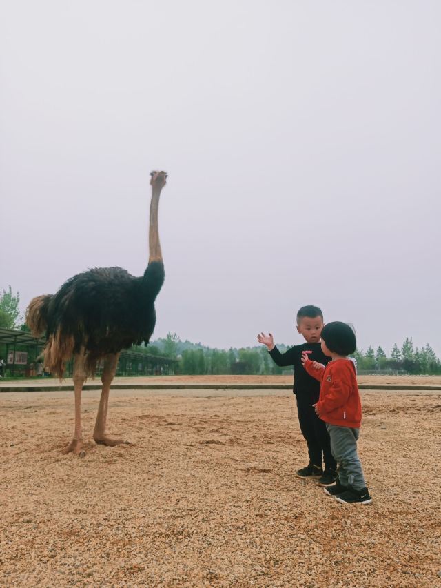 Yangsha Lake International Tourism Resort