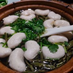 SOUTH garden 여행 사진