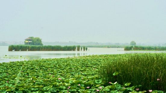 人不多，水面很大，水質乾淨 。  萬畝龍湖，碧水瑩瑩、浮光耀