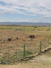 Qiemu'erqieke Stone Human and Sarcophagus Tombs