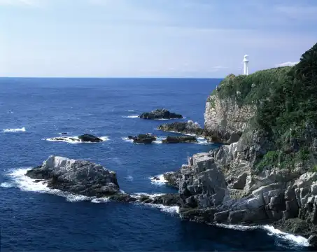 Hotels in Tosashimizu