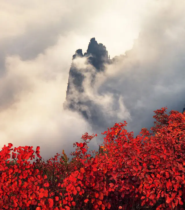 Fall Foliage Sightseeing in Wushan County