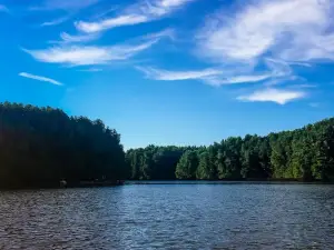 Mangrove of Menghe River