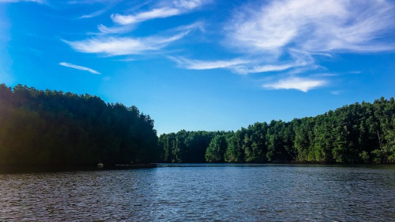 Mangrove of Menghe River