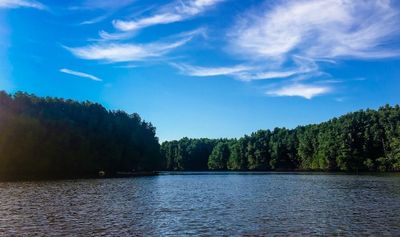 Mangrove of Menghe River