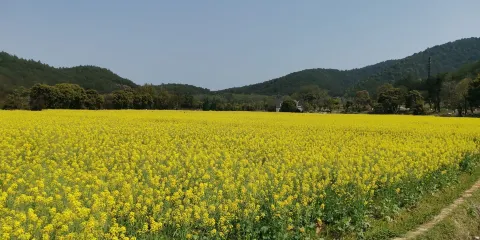 青原山