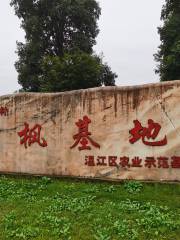 Hongfeng Base