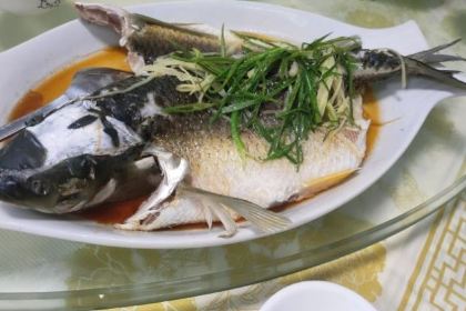 田心农庄·荔枝木烧鸡·农家河鲜